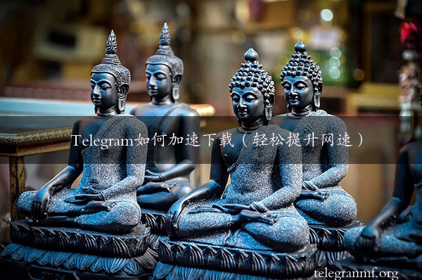 Telegram如何加速下载（轻松提升网速）