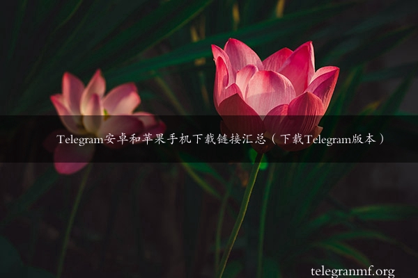 Telegram安卓和苹果手机下载链接汇总（下载Telegram版本）