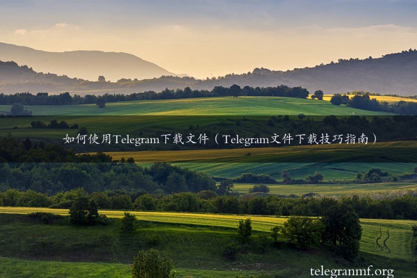 如何使用Telegram下载文件（Telegram文件下载技巧指南）