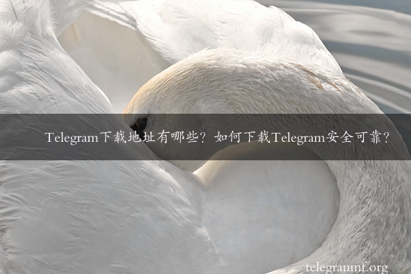 Telegram下载地址有哪些？如何下载Telegram安全可靠？