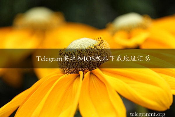 Telegram安卓和IOS版本下载地址汇总