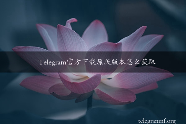 Telegram官方下载原版版本怎么获取