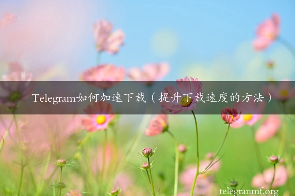 Telegram如何加速下载（提升下载速度的方法）