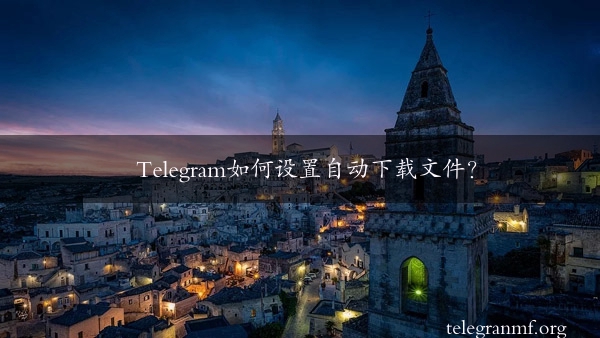 Telegram如何设置自动下载文件？