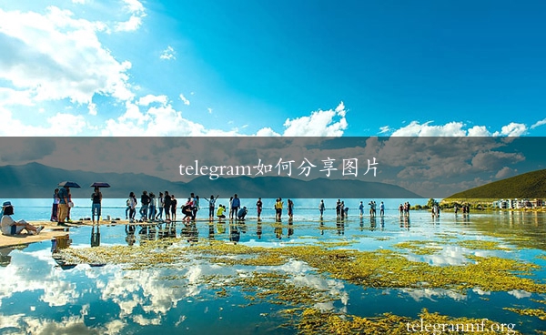 telegram如何分享图片