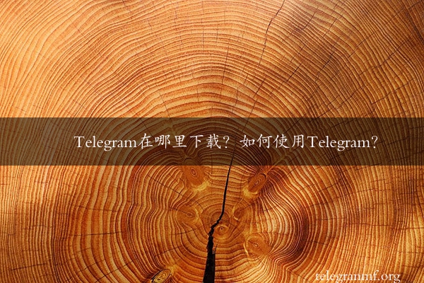 Telegram在哪里下载？如何使用Telegram？