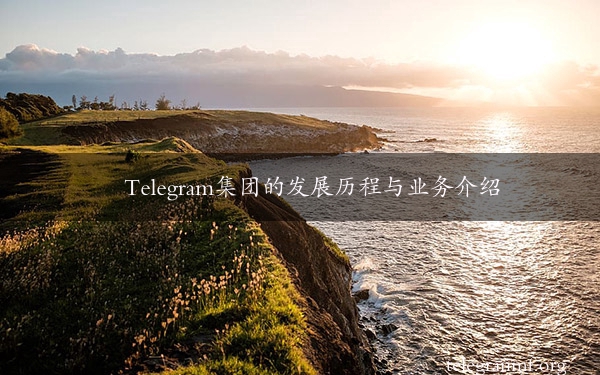 Telegram集团的发展历程与业务介绍