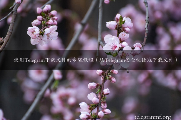 使用Telegram下载文件的步骤教程（从Telegram安全快捷地下载文件）