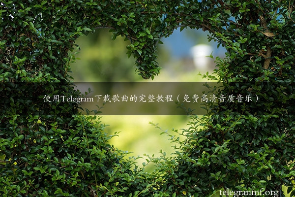 使用Telegram下载歌曲的完整教程（免费高清音质音乐）