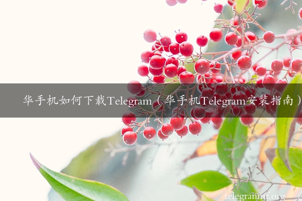 华手机如何下载Telegram（华手机Telegram安装指南）