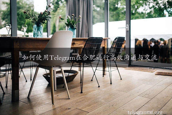 如何使用Telegram在合肥进行高效沟通与交流