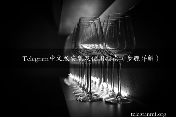 Telegram中文版安装及使用指南（步骤详解）