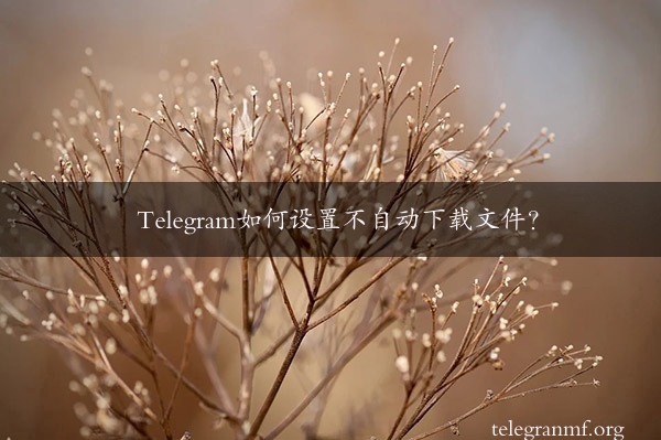 Telegram如何设置不自动下载文件？