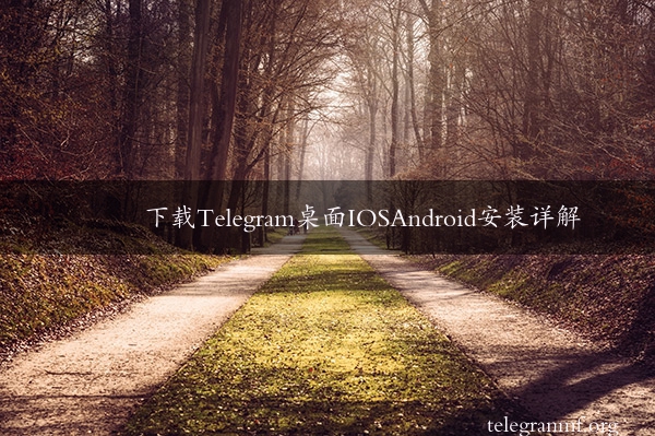 下载Telegram桌面IOSAndroid安装详解