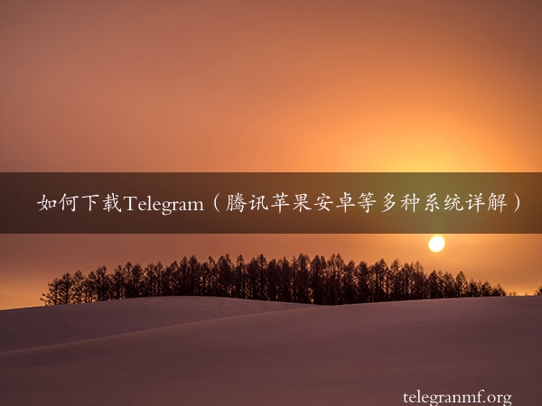 如何下载Telegram（腾讯苹果安卓等多种系统详解）