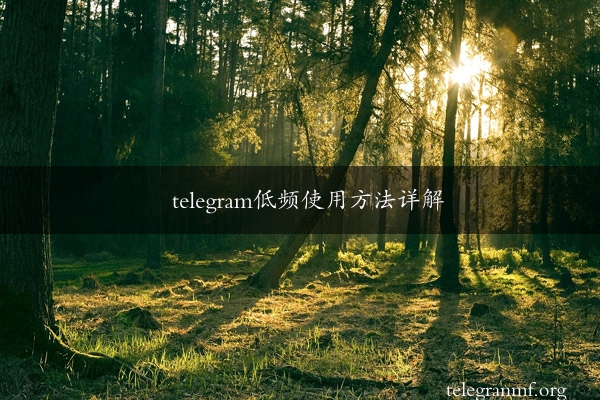 telegram低频使用方法详解