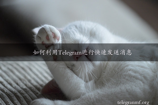 如何利用Telegram进行快速发送消息