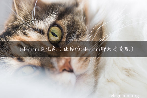 telegram美化包（让你的telegram聊天更美观）