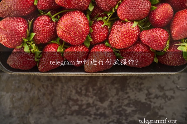 telegram如何进行付款操作？