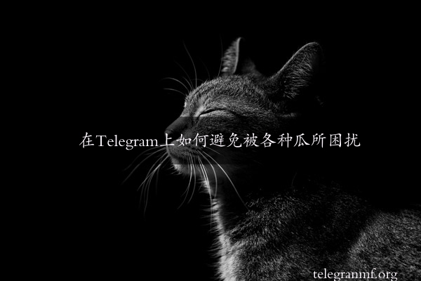 在Telegram上如何避免被各种瓜所困扰