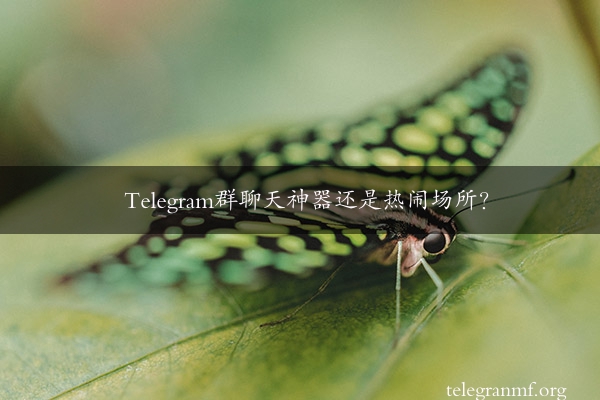 Telegram群聊天神器还是热闹场所？