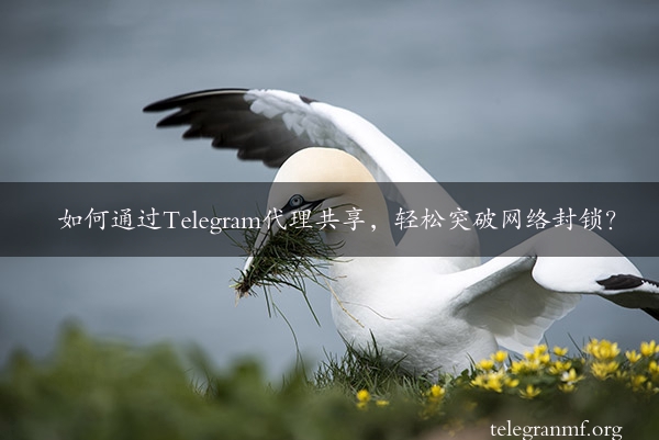 如何通过Telegram代理共享，轻松突破网络封锁？