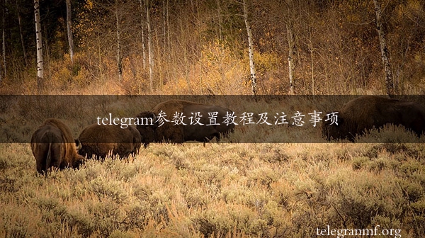 telegram参数设置教程及注意事项