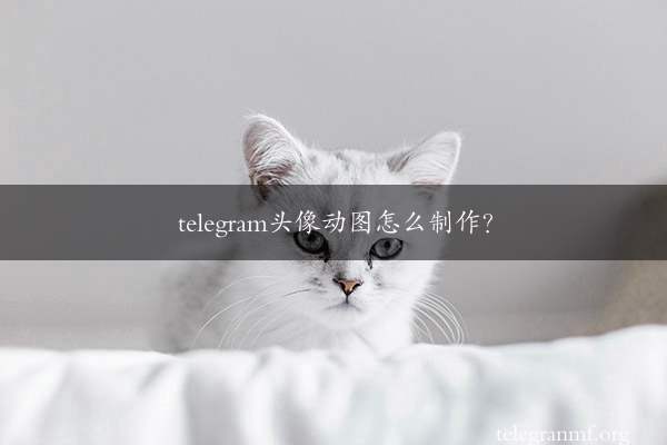 telegram头像动图怎么制作？