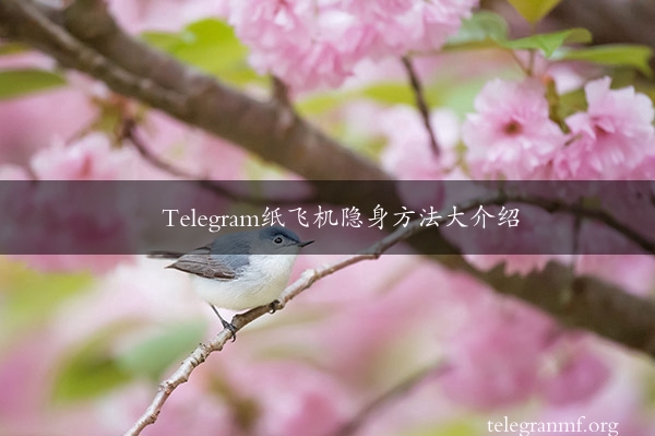 Telegram纸飞机隐身方法大介绍