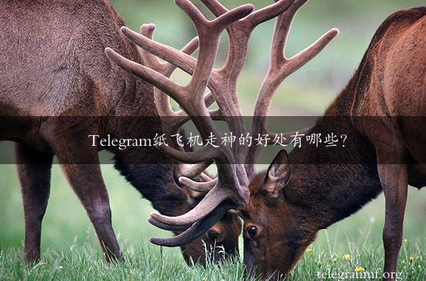 Telegram纸飞机走神的好处有哪些？