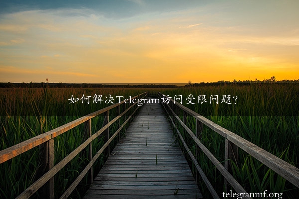 如何解决Telegram访问受限问题？