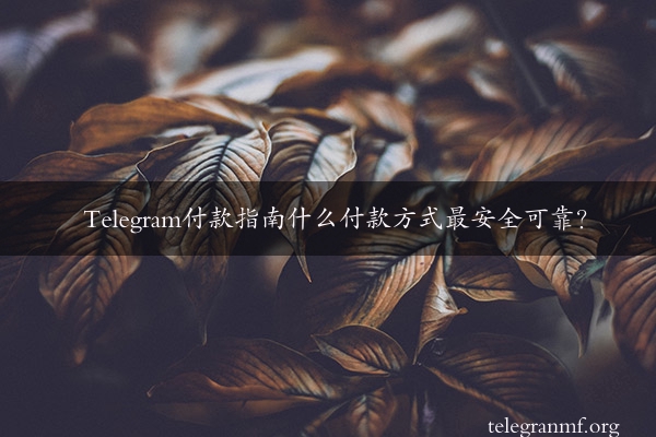 Telegram付款指南什么付款方式最安全可靠？