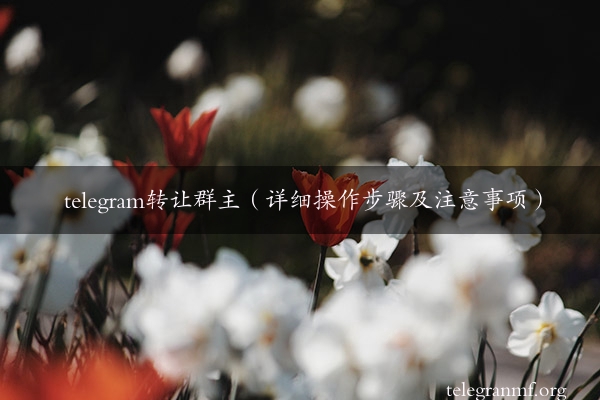 telegram转让群主（详细操作步骤及注意事项）