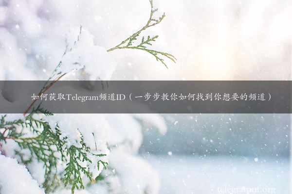 如何获取Telegram频道ID（一步步教你如何找到你想要的频道）