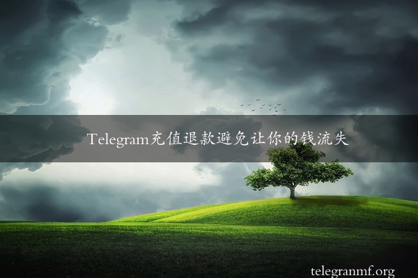 Telegram充值退款避免让你的钱流失